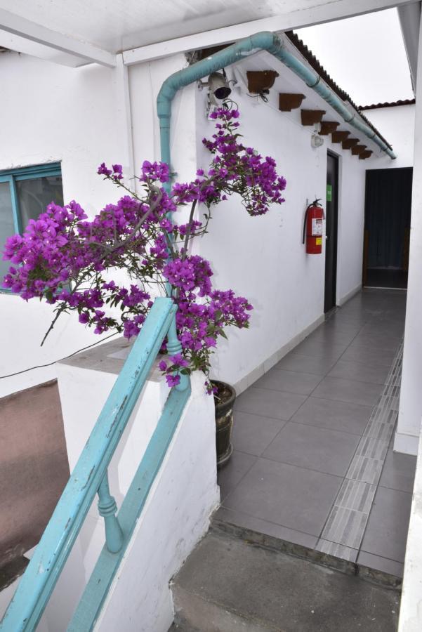 Red Llama Eco Hostel Lima Luaran gambar